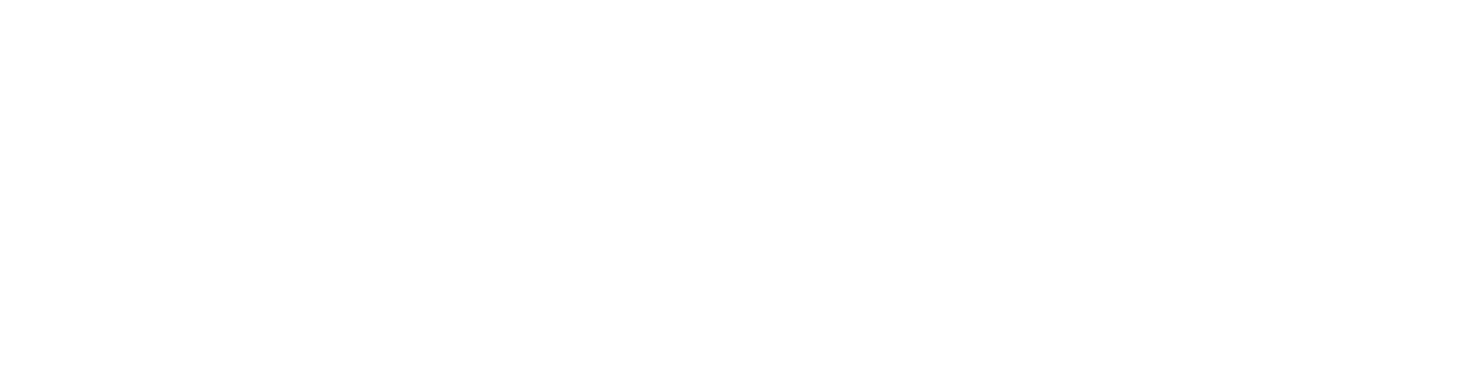 Carnival Vibez Logo (without background)