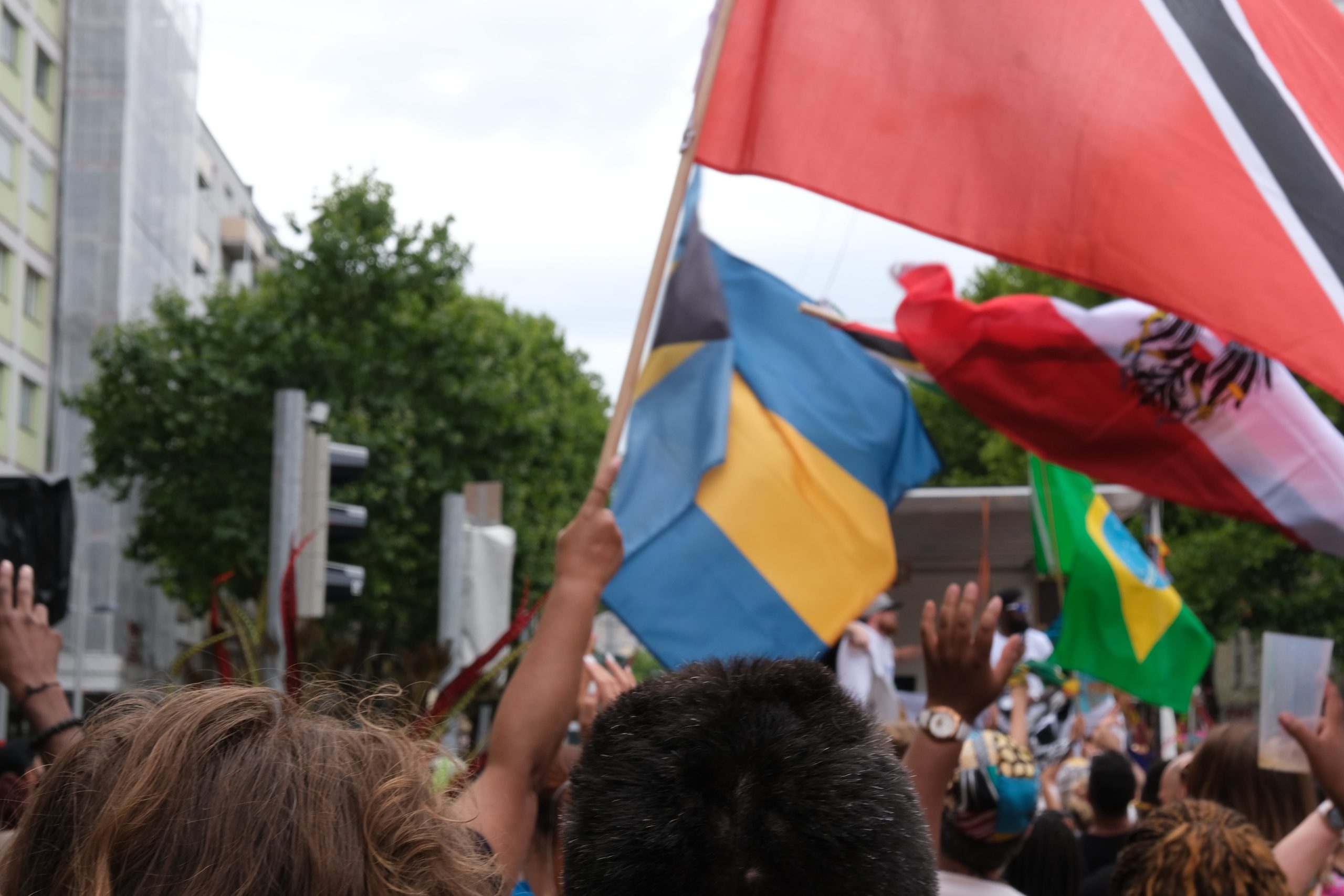 Flags raised high by revelers at the 2024 Vienna Carnival Road March, symbolizing unity and cultural pride, featured in the blog “6 Reasons You Need to Experience the Magic of Carnival in 2025.”