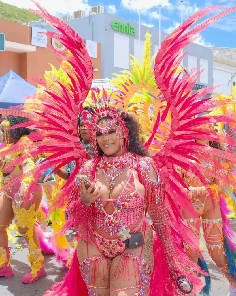 Masquerader in pink feathered carnival costume at parade, featured as a carnival travel resource