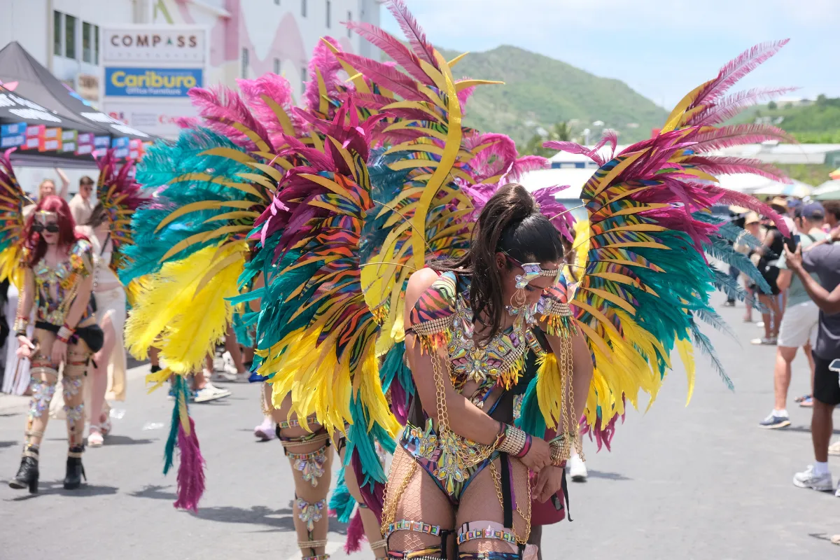 Masquerader in a pink, teal and yellow feathered costume on the road with green hills behind her