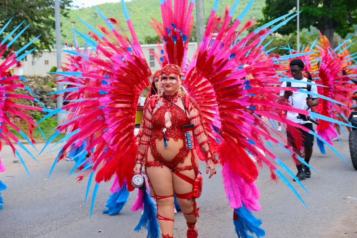 Masquerader in a red frontline costume with a large pink and blue feathered backpack on the parade route at St. Maarten Carnival
