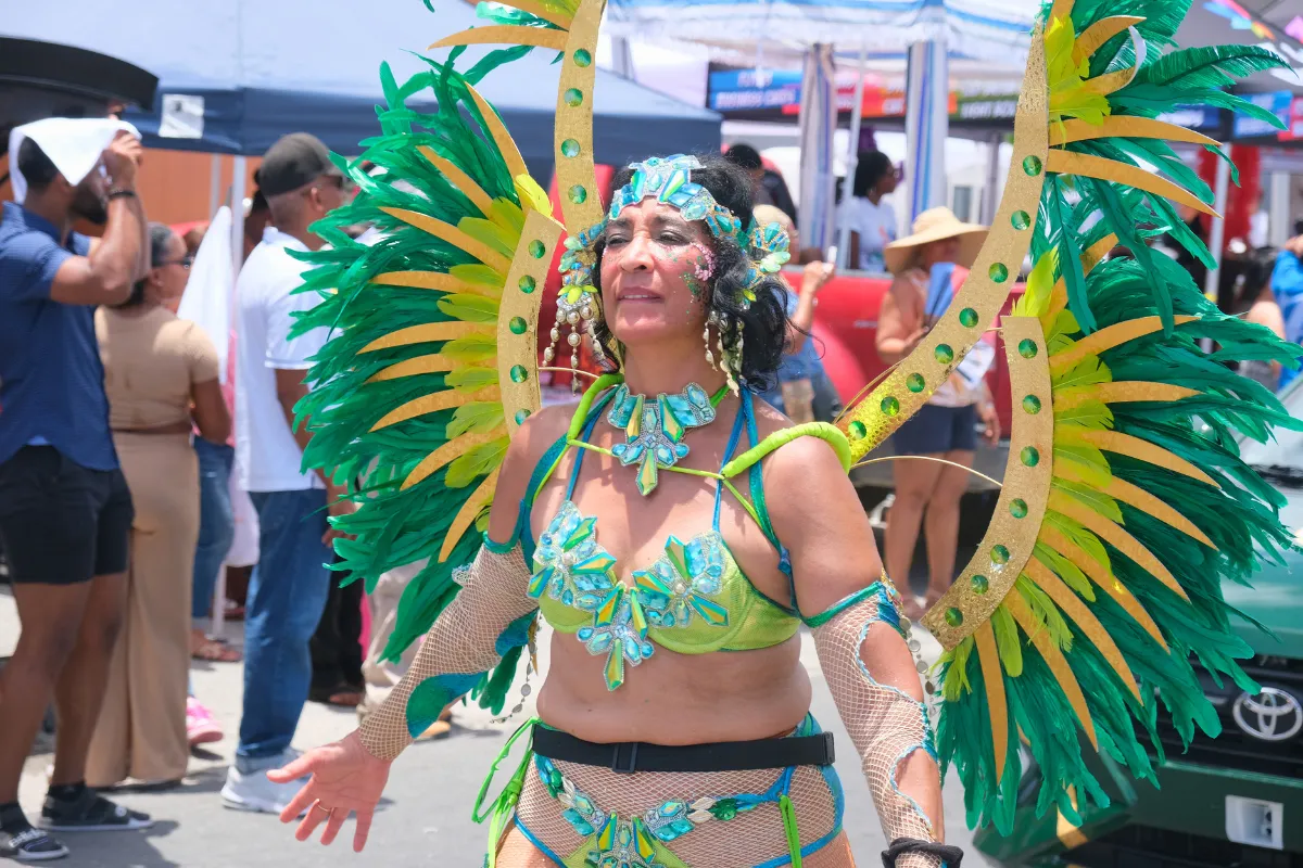 Masquerader in a green and gold costume with large feathered wings walking through the crowd at St. Maarten Carnival