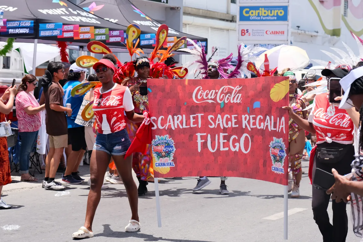 Section banner carried at the front of a mas band as costumed masqueraders follow behind