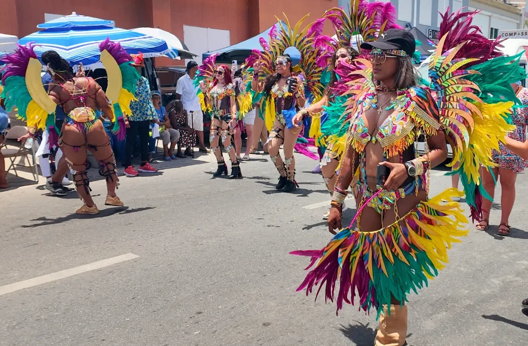 Masqueraders in pink, green and yellow feathered costumes walking the road past spectators at Caribbean Carnival