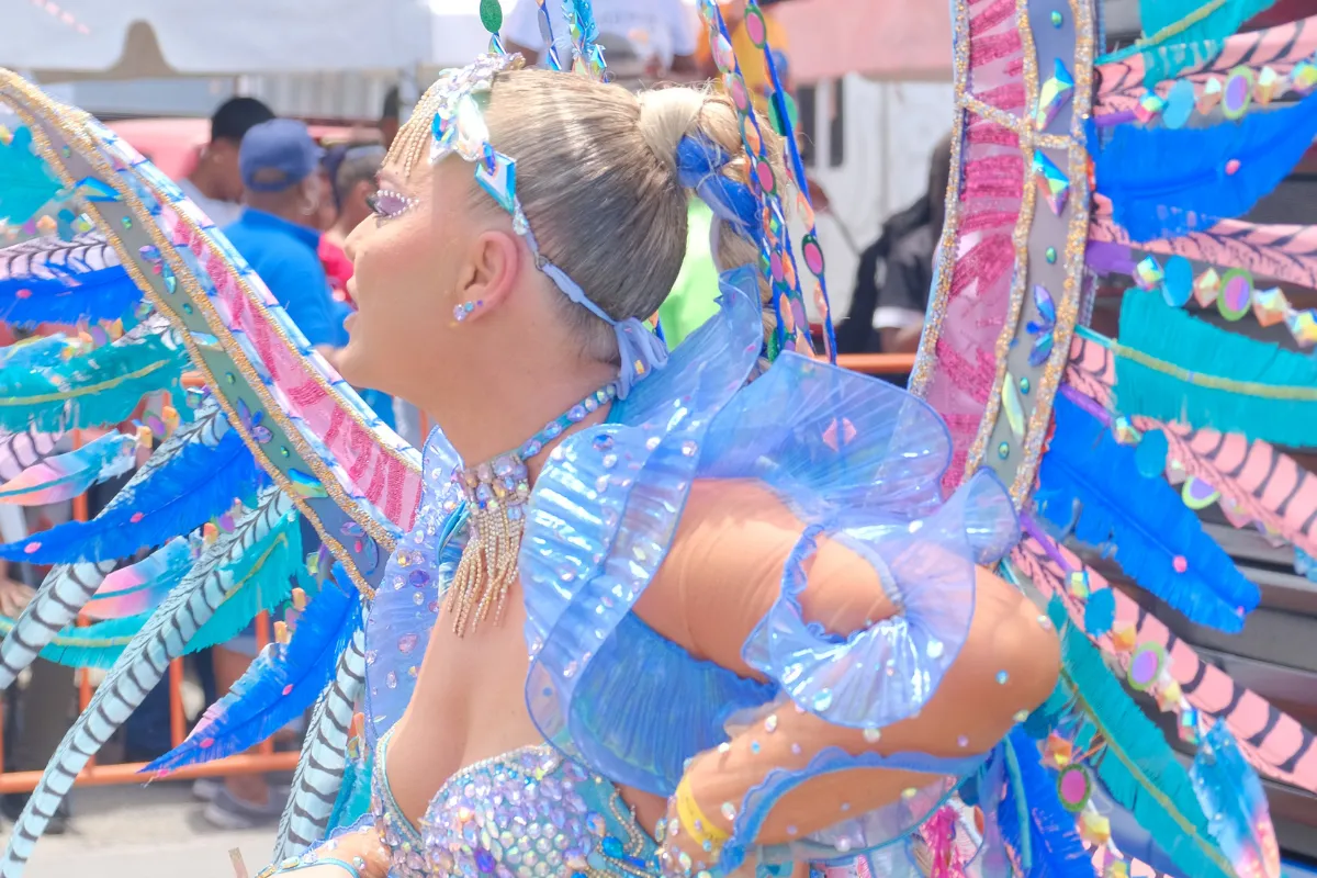 Close-up of a blue and pink pretty mas costume with gems, feathers and a decorated headpiece